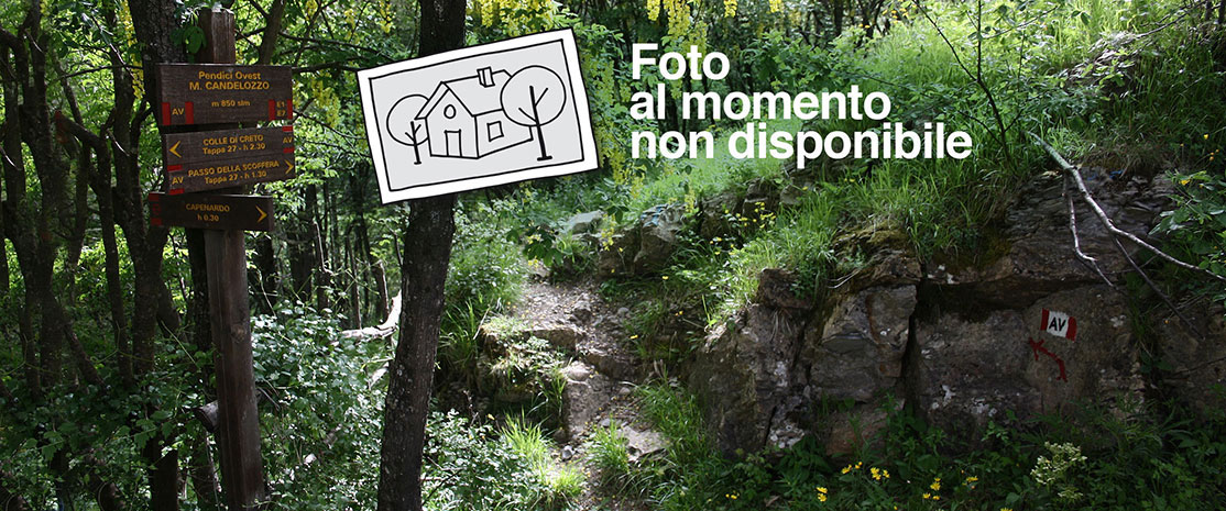 B&B Sul Ponte