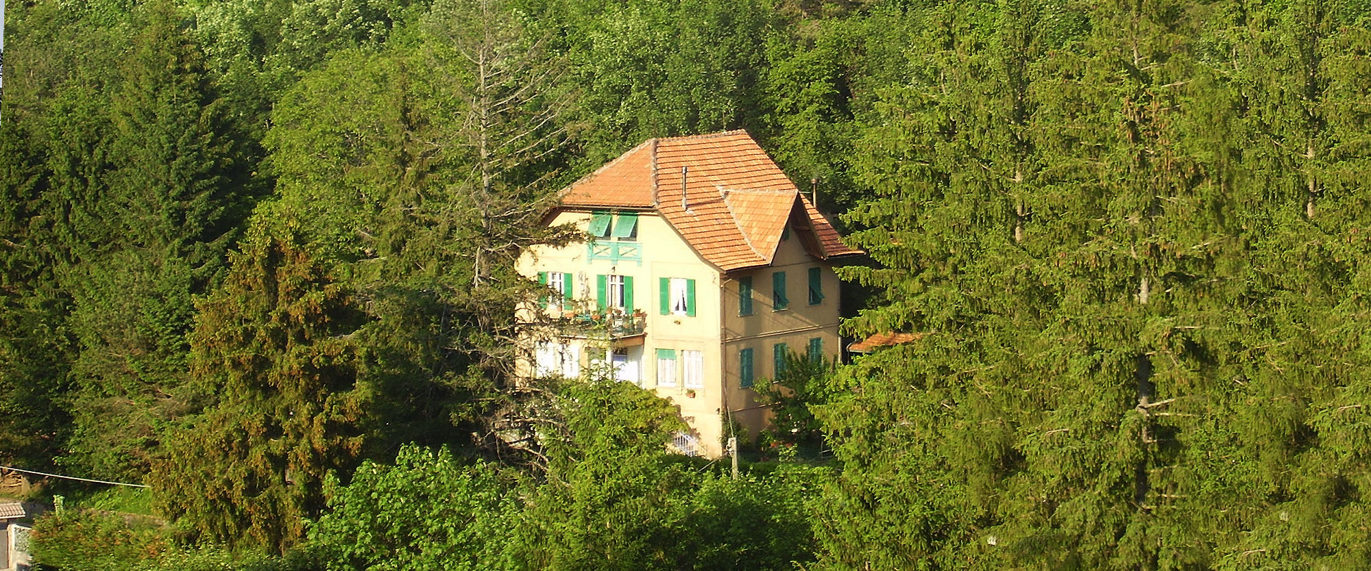 E-bike Liguria&nbsp; |&nbsp; B&B Villa Tiffany