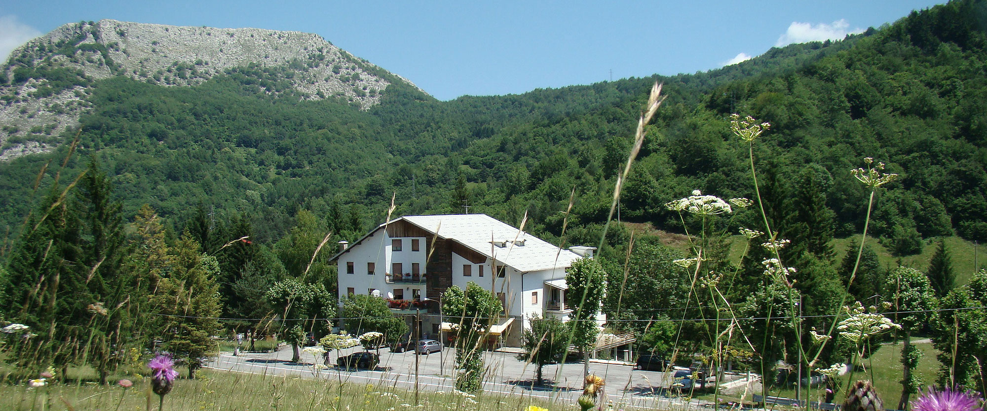 E-bike Liguria&nbsp; |&nbsp; Hotel Alpino